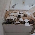 mold rot florida shower removal tile installation